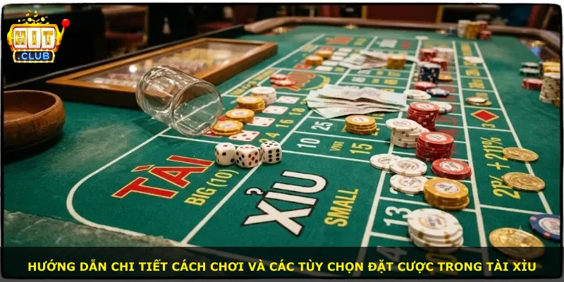 Hướng dẫn chi tiết cách chơi và các tùy chọn đặt cược trong tài xỉu