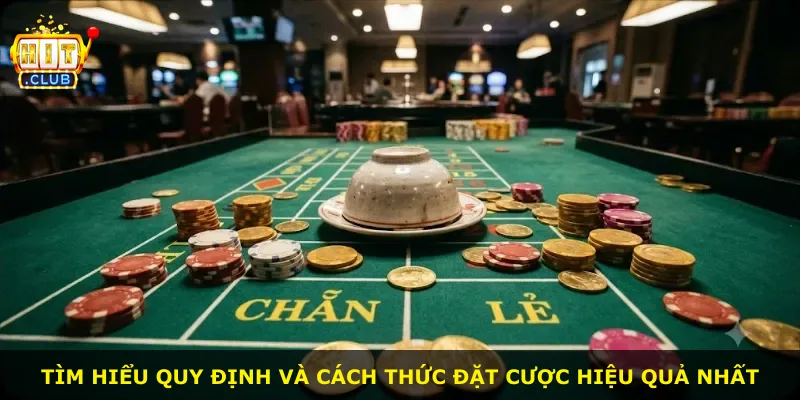 Tìm hiểu quy định và cách thức đặt cược hiệu quả nhất